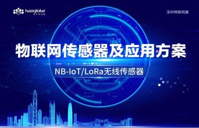 【IOTE】物联网监测终端及应用方案合作伙伴,昊华传感器精彩亮相IOTE深圳物联网展